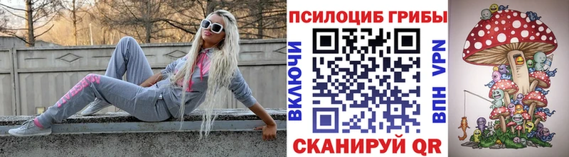 Псилоцибиновые грибы ЛСД  магазин    Нарткала 