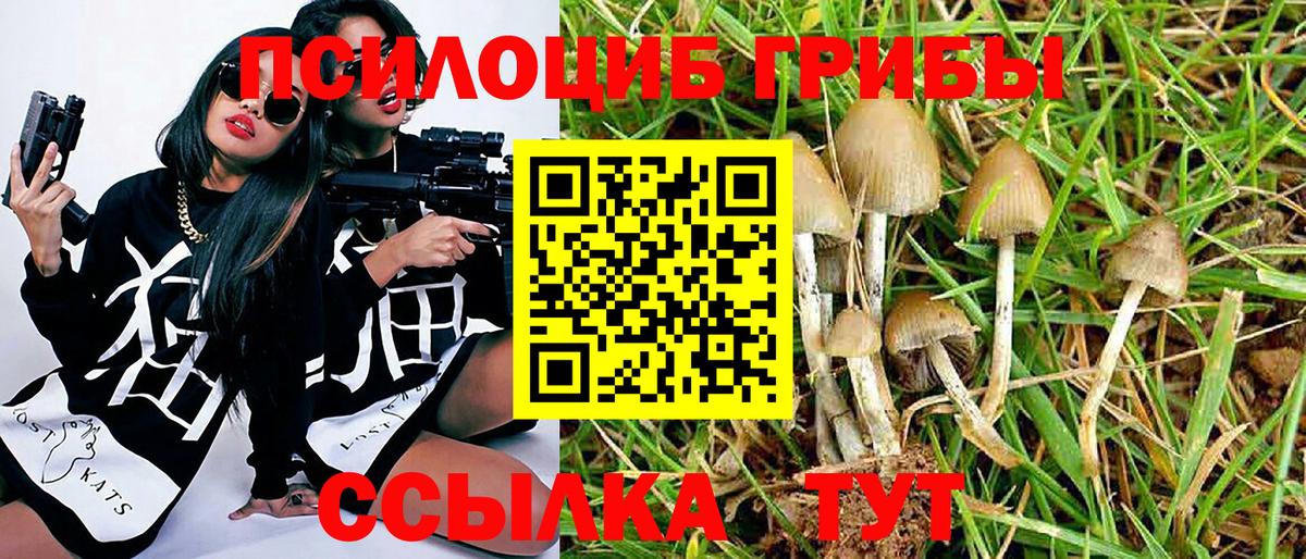 Галлюциногенные грибы Psilocybine cubensis  Псилоцибиновые грибы мухоморы  Нарткала  Вход с VPN 