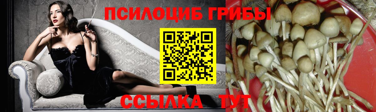 Псилоцибиновые грибы GOLDEN TEACHER Нарткала